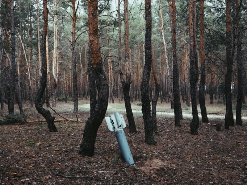 A missile embedded upright in the ground among tall pine trees in a forest, with scattered dry leaves and pine needles covering the forest floor.