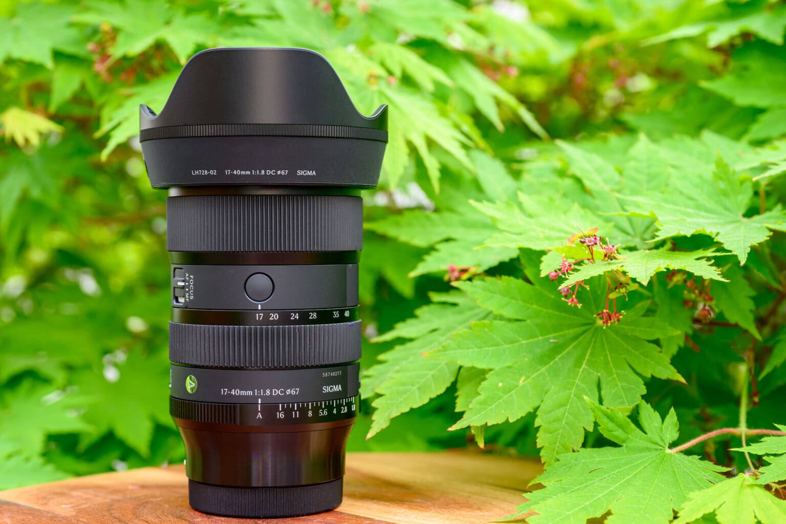 Sigma 17-40mm f/1.8 DC Art Review: A Legend Reborn | PetaPixel