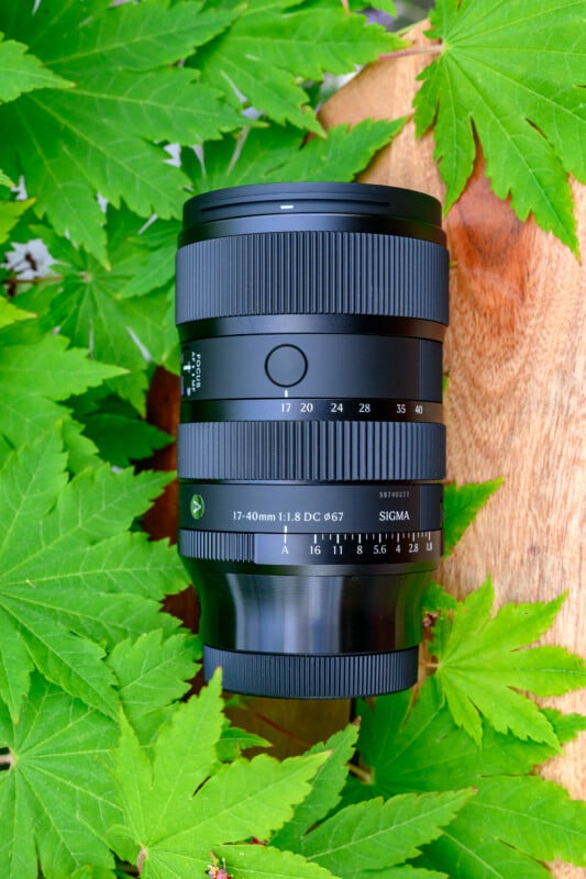 A Sigma 17-40mm f/1.8 DC camera lens rests on a wooden surface surrounded by green maple leaves.