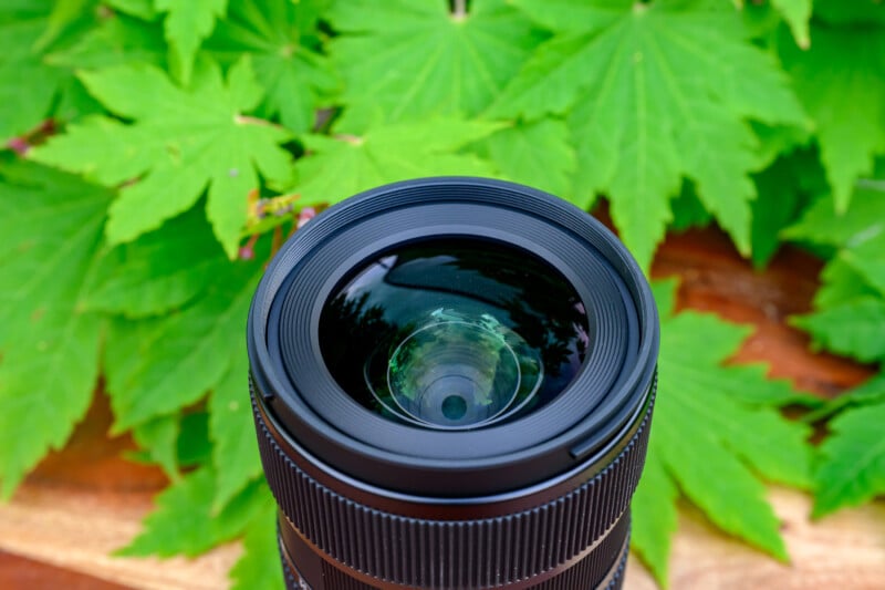 A close-up of a camera lens facing upward, with a background of vibrant green leaves and some brown wooden surface partially visible beneath the foliage.