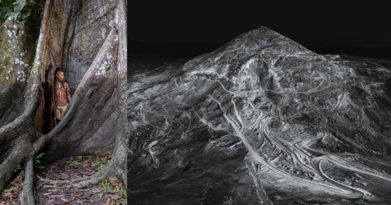 A man stands between large tree roots on the left; on the right, an aerial black-and-white view of a mountain scarred by mining operations.