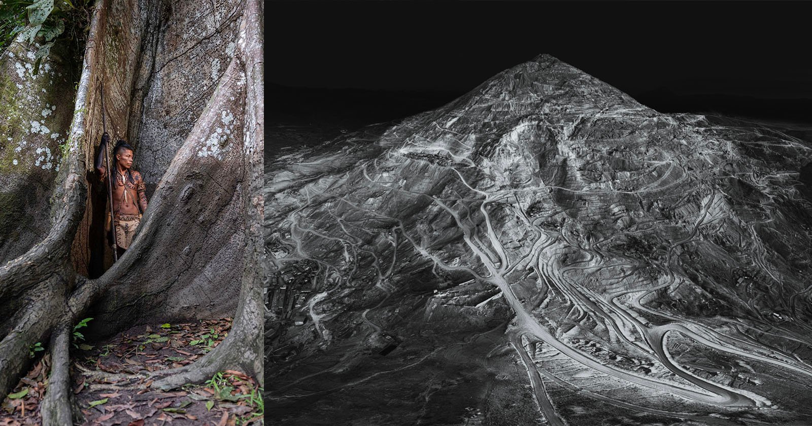 A man stands between large tree roots on the left; on the right, an aerial black-and-white view of a mountain scarred by mining operations.