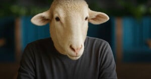 A person wearing a gray shirt with the head of a sheep, sitting indoors against a blurred background with blue and green colors.