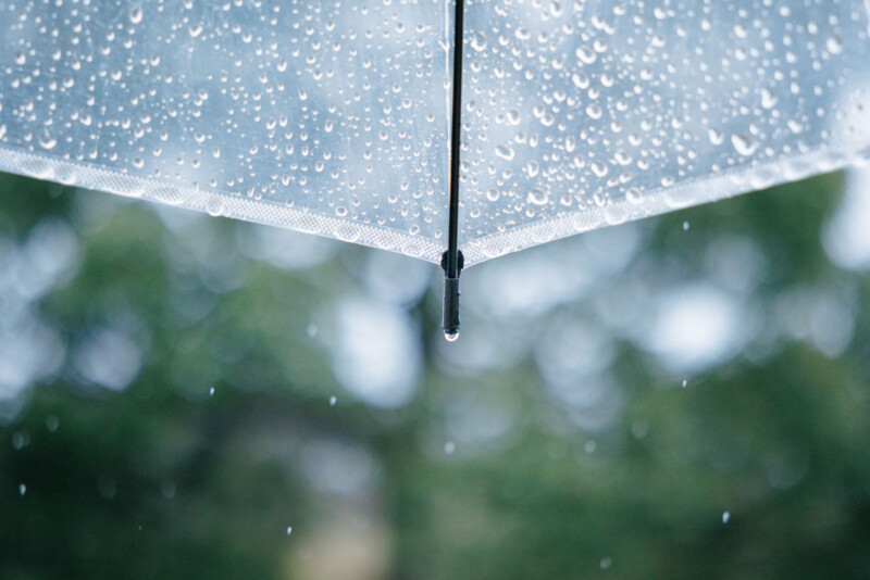A close-up of a transparent umbrella covered with raindrops, with a drop of water hanging from the tip. The background is blurred green foliage, creating a calm, rainy day atmosphere.