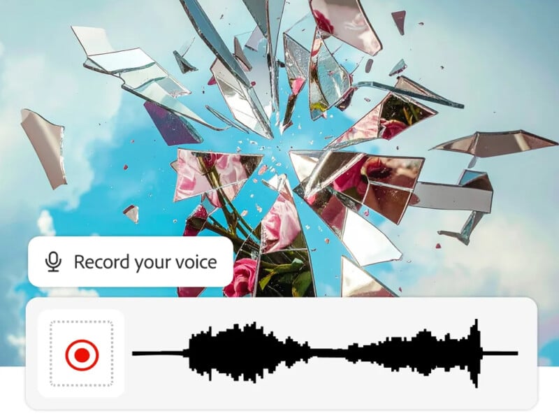Shards of broken glass reflect pink roses and a blue sky. Below, there’s a voice recording button and a black audio waveform, suggesting a connection between voice, sound, and shattering glass.