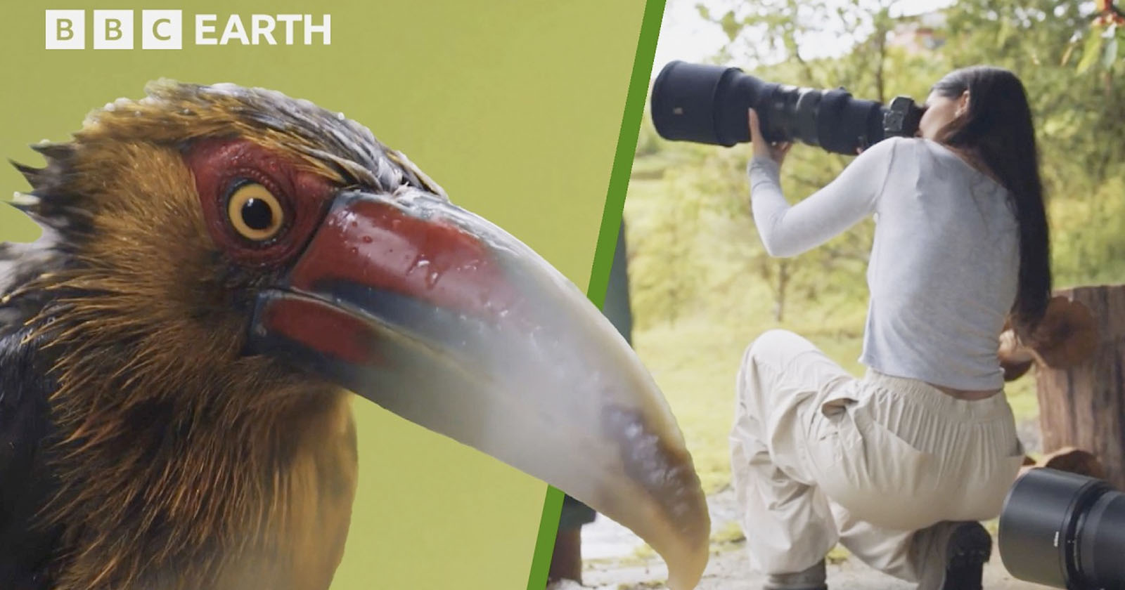‘How to Take Stunning Wildlife Photos’ is a Free 45-Minute Educational Video
