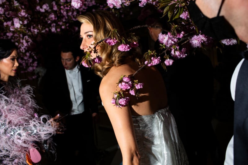 A woman in a silver dress stands under blooming pink cherry blossoms at a formal event, surrounded by elegantly dressed guests in dark attire. The lighting creates dramatic shadows and highlights.