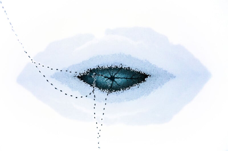 Abstract image of a dark, oval-shaped patch with cracks, resembling an eye, surrounded by light blue shading and intersected by dashed black lines on a white background.