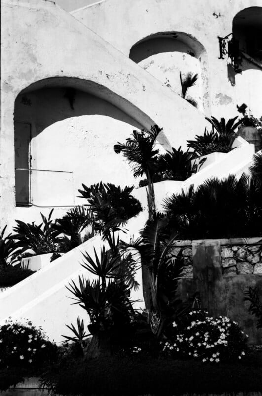 Black and white photo of a Mediterranean-style building with curved stairs, white stucco walls, and lush tropical plants and flowers in the foreground.