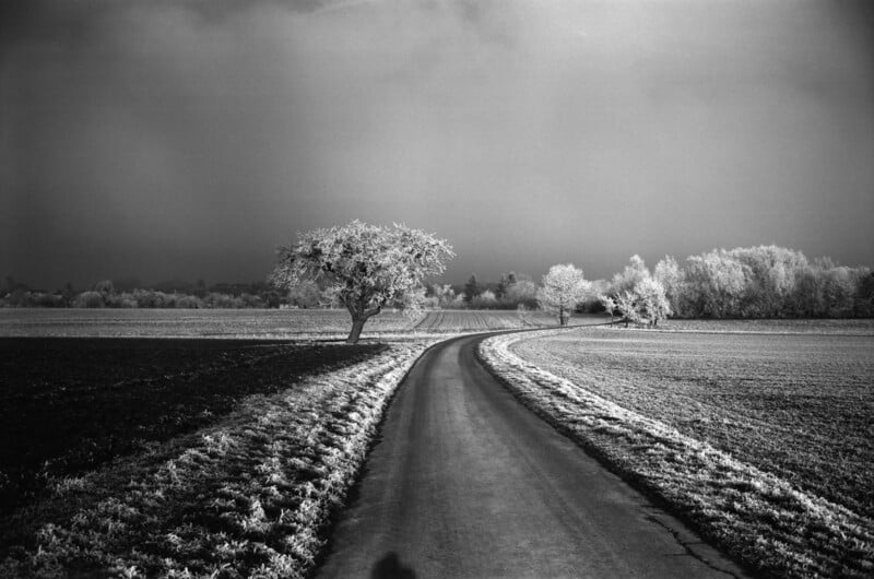 A narrow road curves through frosty fields, flanked by leafless trees covered in frost, under a dark, overcast sky. The landscape appears cold and quiet, with a sense of isolation.