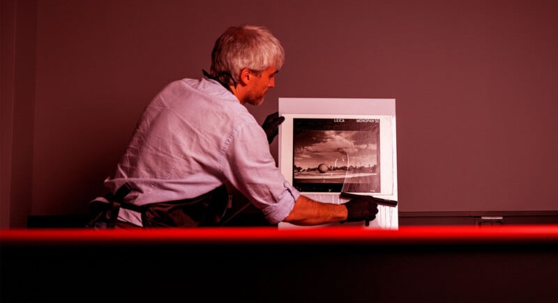 A person with gray hair and wearing gloves examines a large black-and-white photograph under red lighting, likely in a darkroom. They hold the photo upright and appear to be using a tool on its surface.