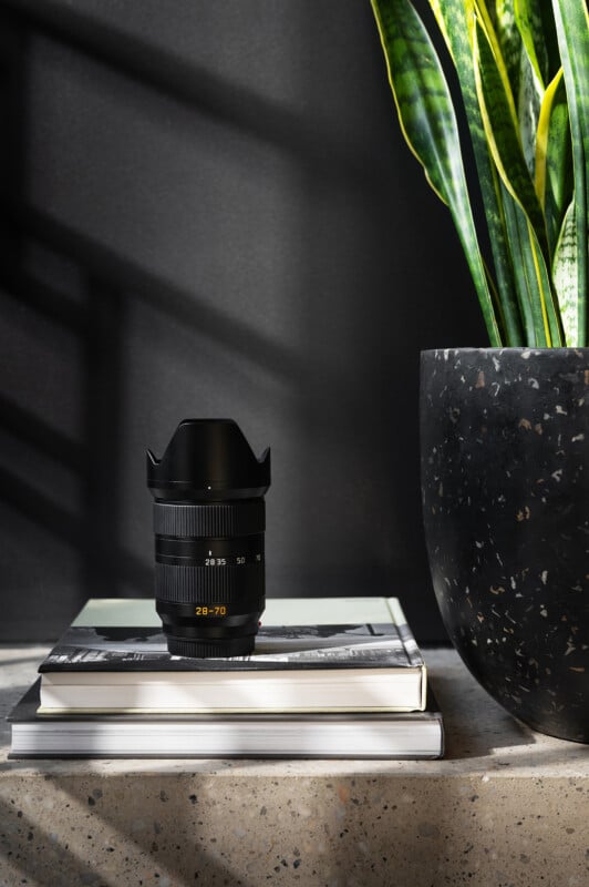 A camera lens sits on top of two stacked books next to a large potted plant with tall, green leaves, all placed on a concrete surface with sunlight casting shadows.