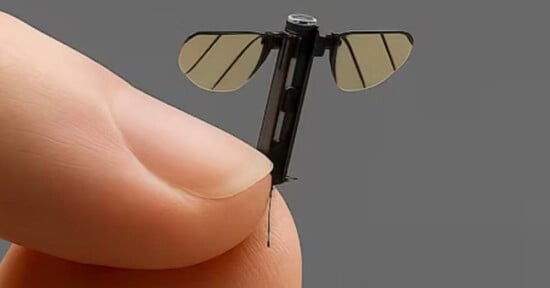 A close-up of a person’s fingers holding a tiny robotic insect with translucent wings and a thin body, resembling a small mechanical fly or drone, against a plain gray background.