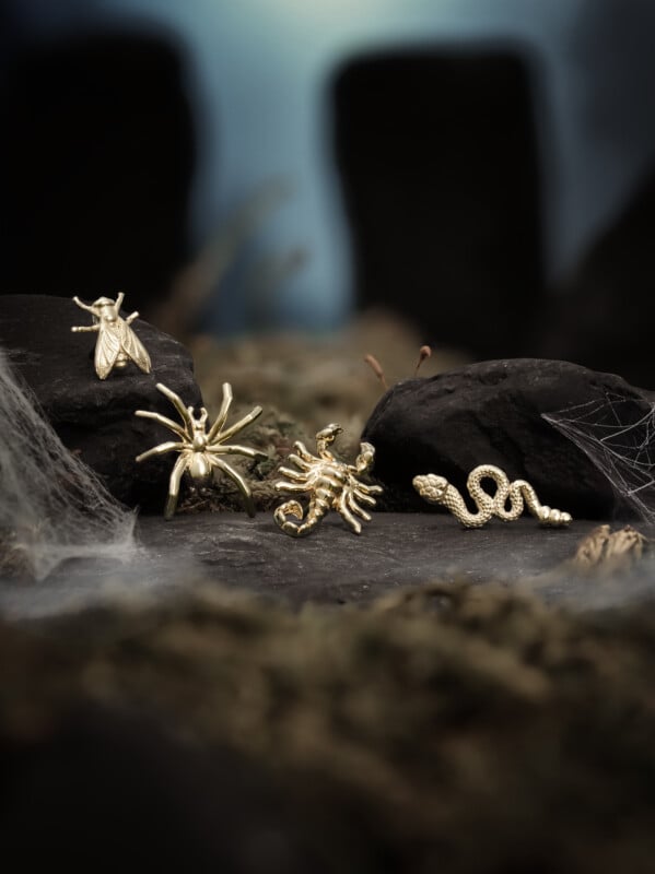 Four gold jewelry pieces shaped like an insect, spider, scorpion, and snake are displayed on dark rocks with webbing and moss, creating a mysterious, nature-inspired setting.