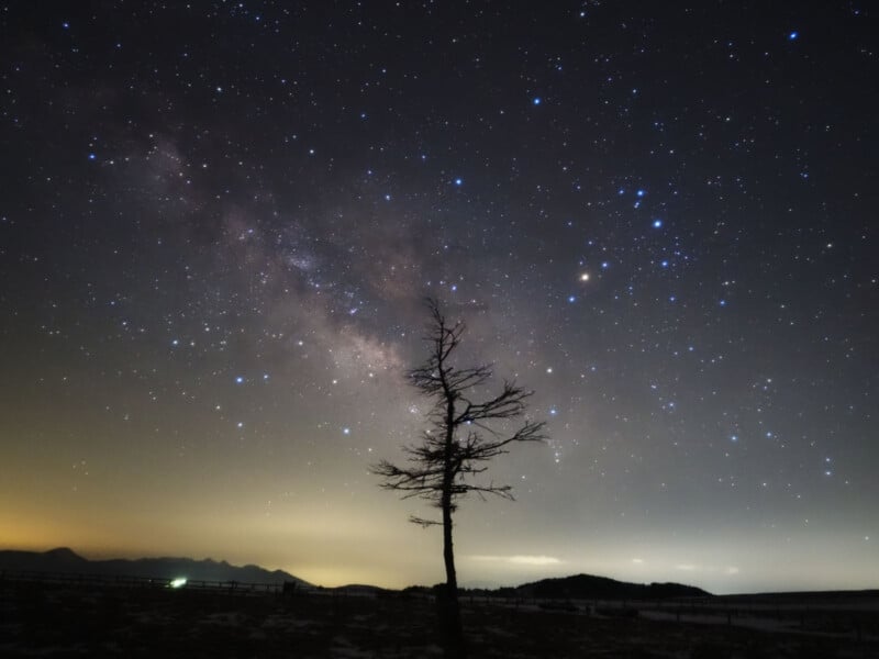 A leafless tree stands silhouetted against a night sky filled with stars and the glowing band of the Milky Way, with distant mountains and a faint horizon light in the background.
