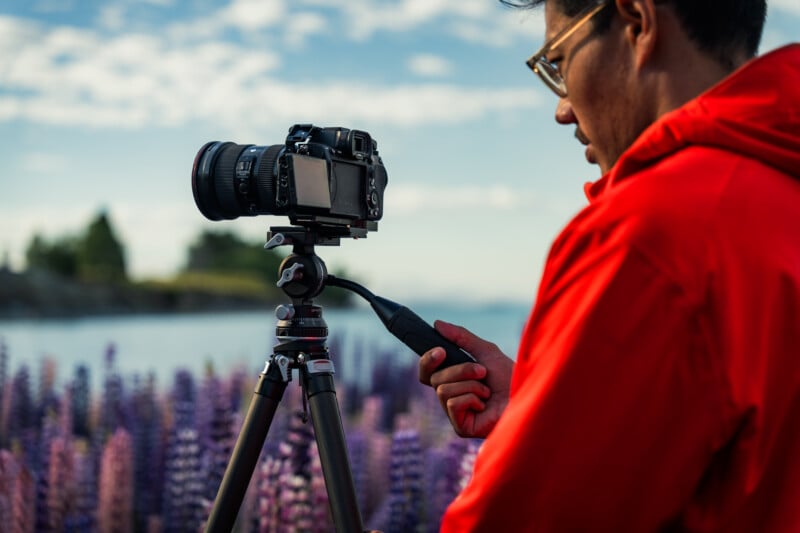 A person in a red jacket operates a camera on a tripod near blooming purple flowers, with blurred water and trees in the background under a partly cloudy sky.