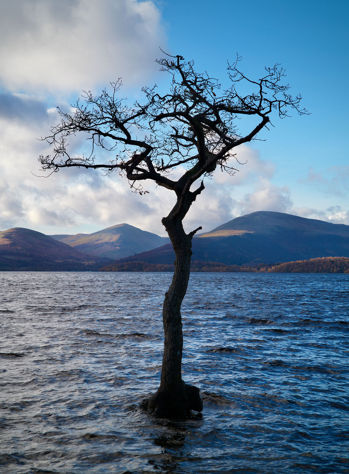 A leafless, twisted tree stands alone in the water of a lake, with distant hills and a partly cloudy blue sky in the background.