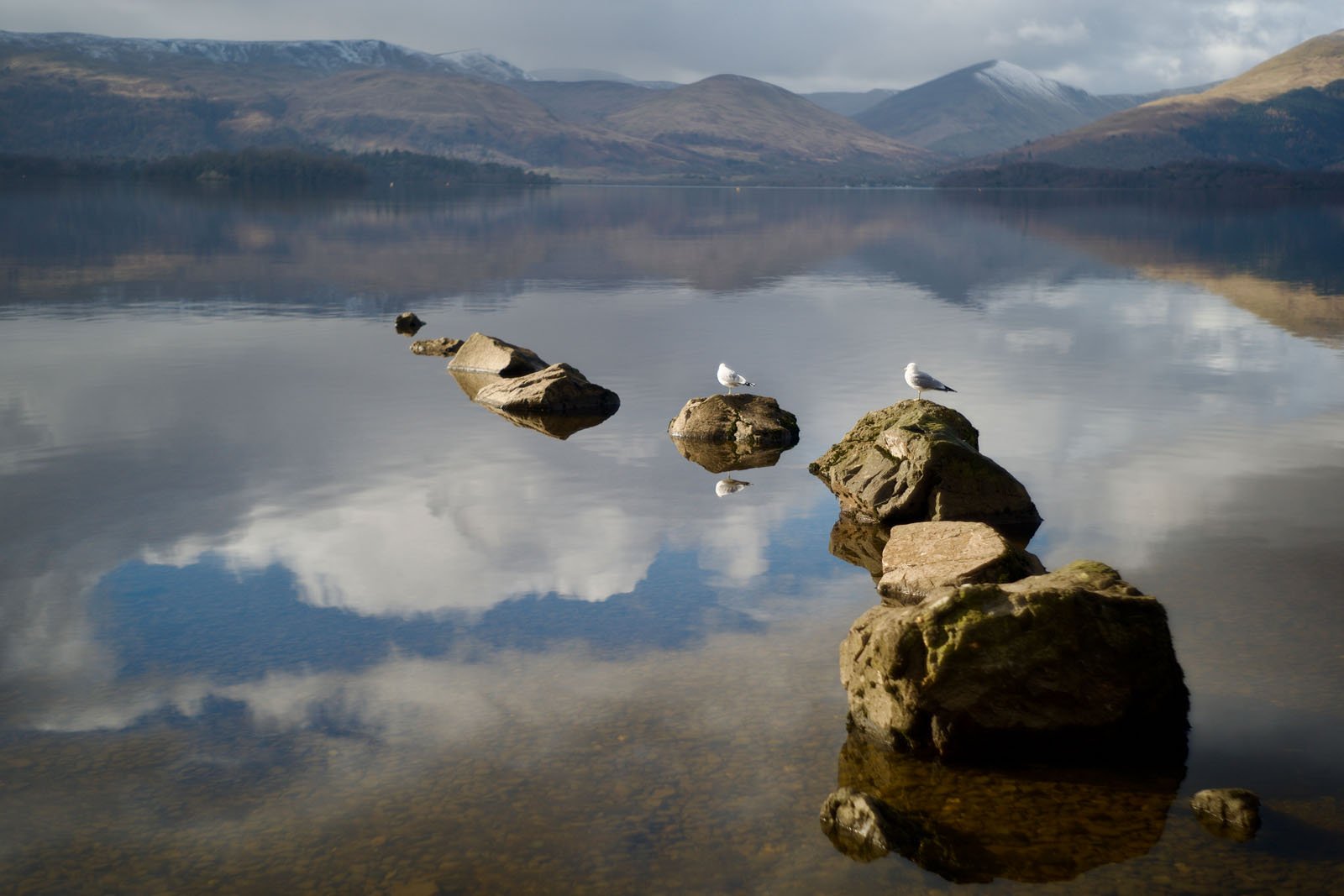 Large rocks protrude from a calm lake, with two white birds perched on them. The lake reflects clouds and distant mountains, creating a tranquil and scenic landscape.
