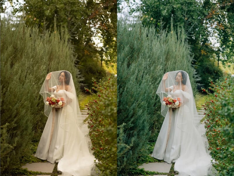 A bride in a white gown and veil stands on a garden path holding a bouquet of red and white flowers, surrounded by lush greenery. The image is split to show two different color edits side by side.