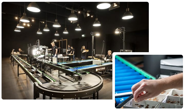 A large, modern factory with conveyor belts and people working at stations under bright lights. An inset shows a close-up of a hand sorting small items near the conveyor.