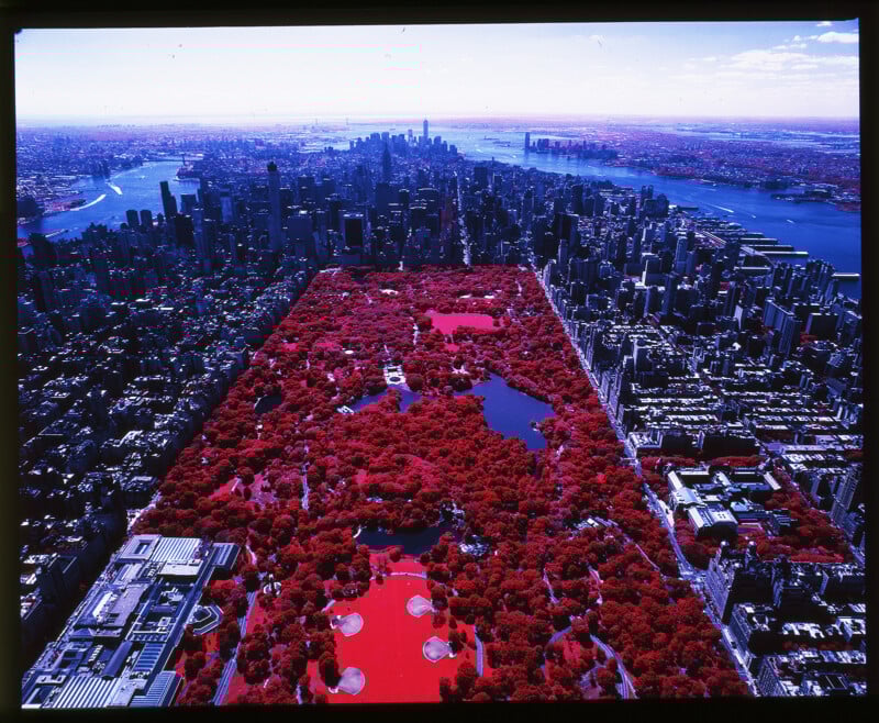 Aerial view of Central Park in New York City with false-color, showing the park's trees in vibrant red, surrounded by buildings and skyscrapers, with rivers and bridges visible in the distance.