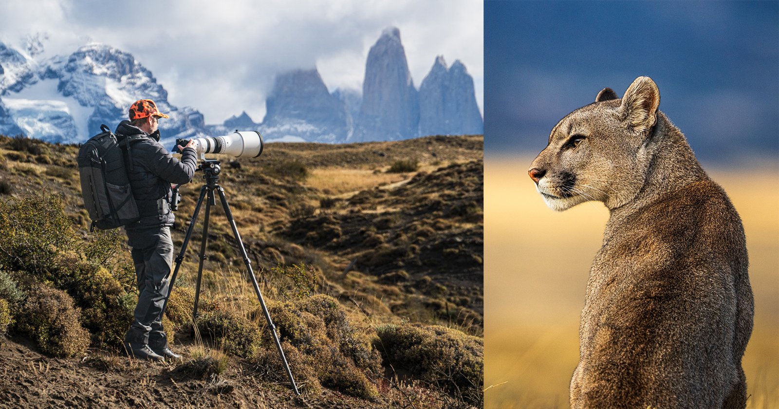 The Ultimate SIGMA Lens Buying Guide