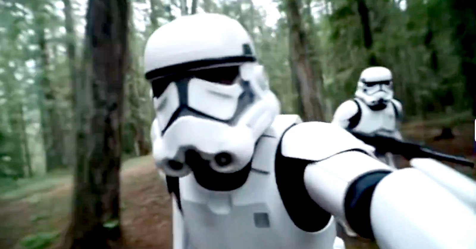 Two people dressed as Star Wars stormtroopers walk through a dense forest, with one stormtrooper close to the camera and the other in the background among tall trees.