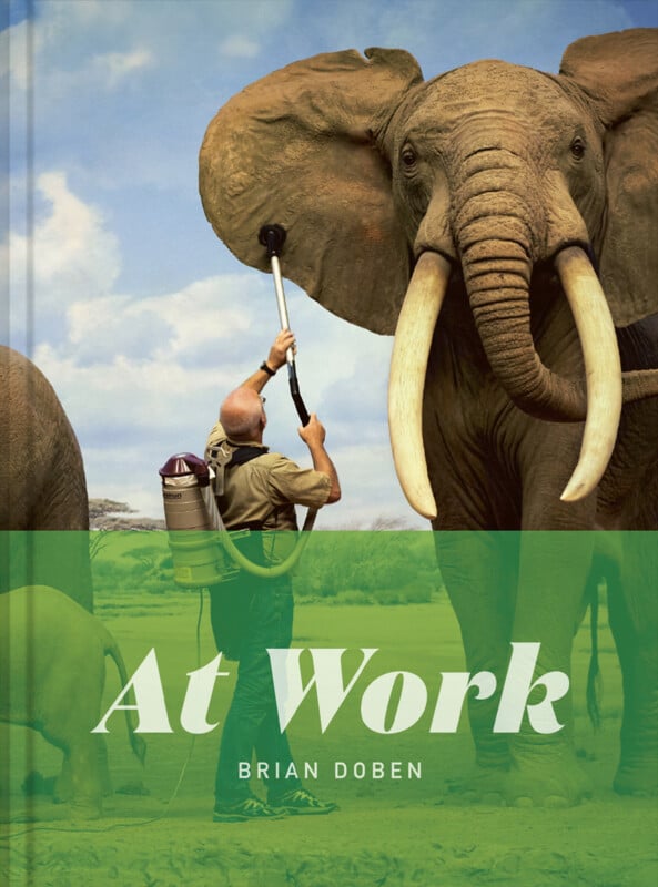 A man uses a vacuum cleaner to clean the ear of a large elephant in a grassy area, with another elephant partly visible. The book cover text reads "At Work" and "Brian Doben.