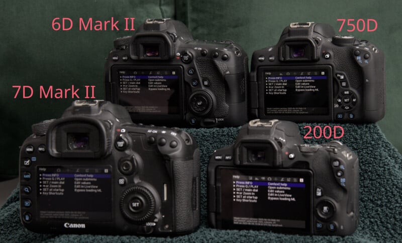Four Canon DSLR cameras (6D Mark II, 7D Mark II, 750D, and 200D) are displayed on a green surface, showing their rear screens with settings menus visible. The model names are labeled in pink text.