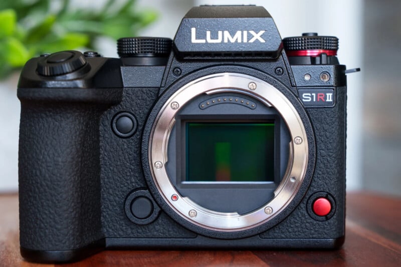 A close-up of a Panasonic Lumix S1R II mirrorless camera body without a lens, showing the camera sensor and various buttons, with a blurred green plant in the background.