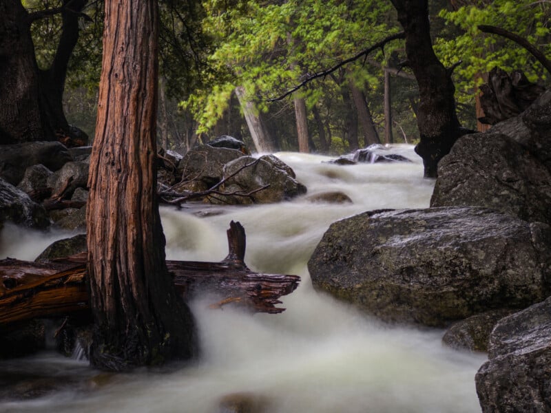 A rushing stream flows through a rocky forest, with water cascading around large boulders and tree trunks. Green foliage and tall trees frame the misty, serene scene.