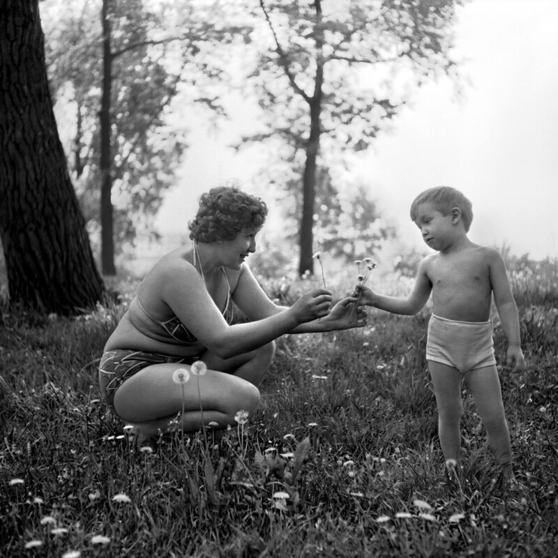 A woman in a swimsuit kneels in the grass, smiling as she hands a dandelion to a young boy in underwear. They are surrounded by trees and wildflowers on a sunny day.