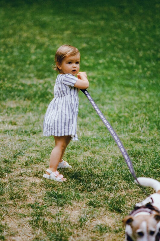 A young child in a striped dress stands on grass, holding a leash attached to a small dog that's partially out of frame. The child looks back while holding the leash with both hands.