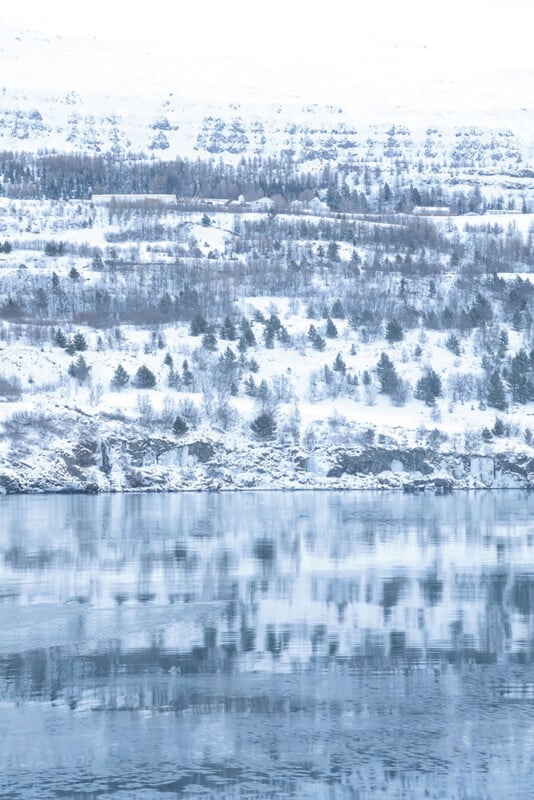 Snow-covered hillside with scattered trees reflected in a calm, icy lake under a pale, overcast sky.