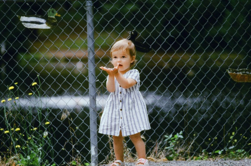 A young child in a striped dress stands in front of a chain-link fence, blowing a kiss or speaking with hands raised, surrounded by greenery and yellow flowers.
