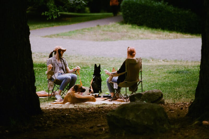 Two people sit on camping chairs in a park, chatting and relaxing with two dogs beside them on a blanket. Trees and greenery surround the peaceful outdoor setting.