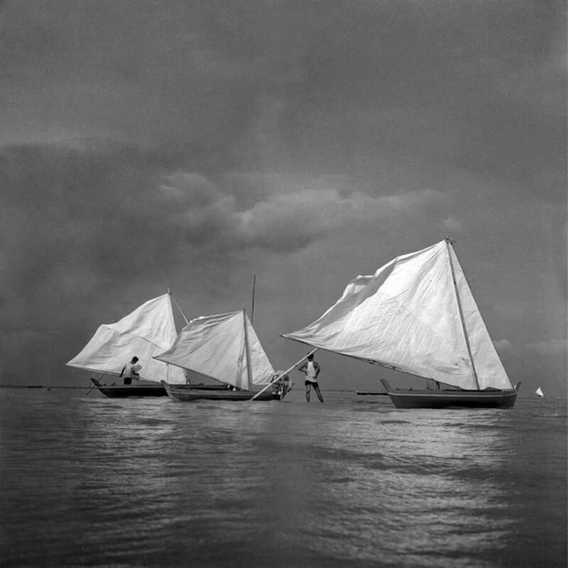 Three small sailboats with white sails glide on calm water under a cloudy sky. Two people are visible, each standing on their boat, adjusting the sails. The overall scene is serene and peaceful.