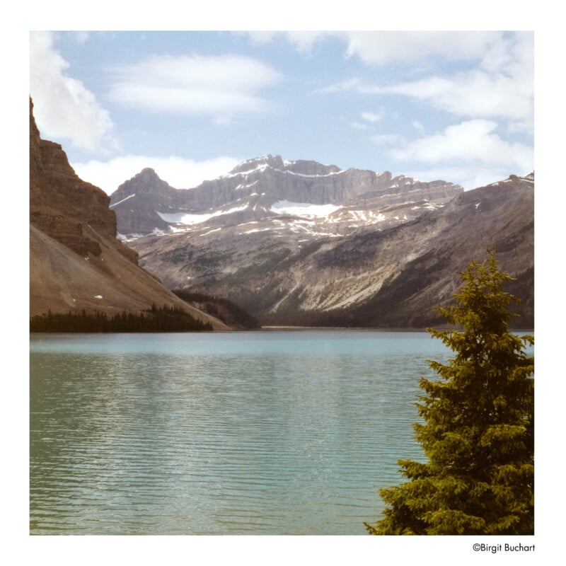 A calm turquoise lake with a pine tree in the foreground, surrounded by rocky mountains partly capped with snow under a partly cloudy sky.