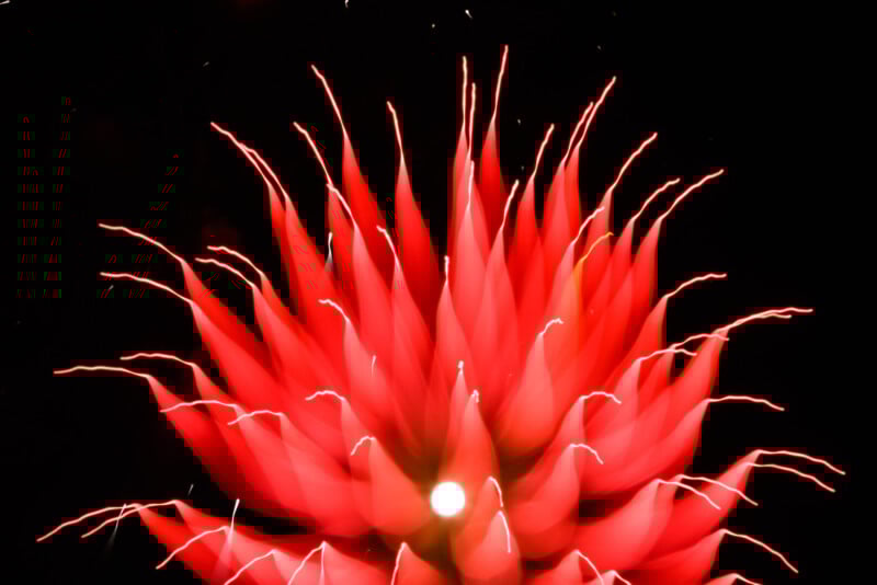 A red firework bursts against a black night sky, creating streaks that resemble flower petals radiating outward from a bright central point.
