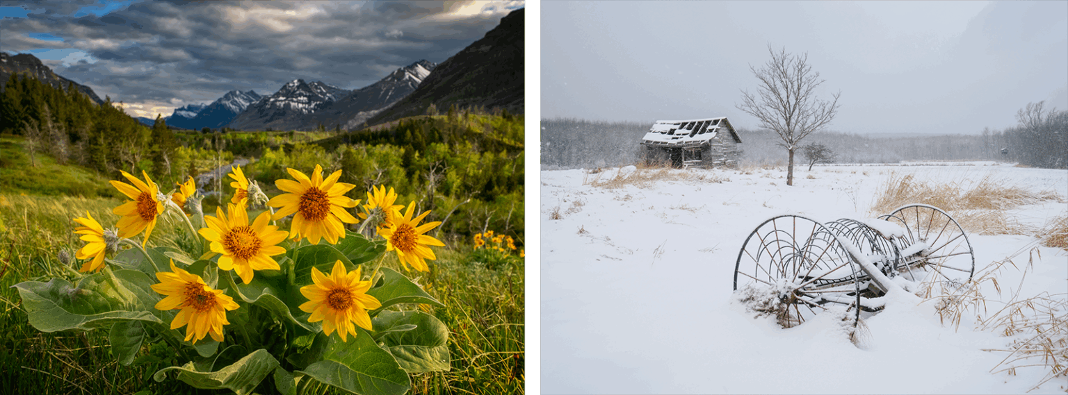 A Complete Guide to Capturing Creative Landscape Photography | PetaPixel