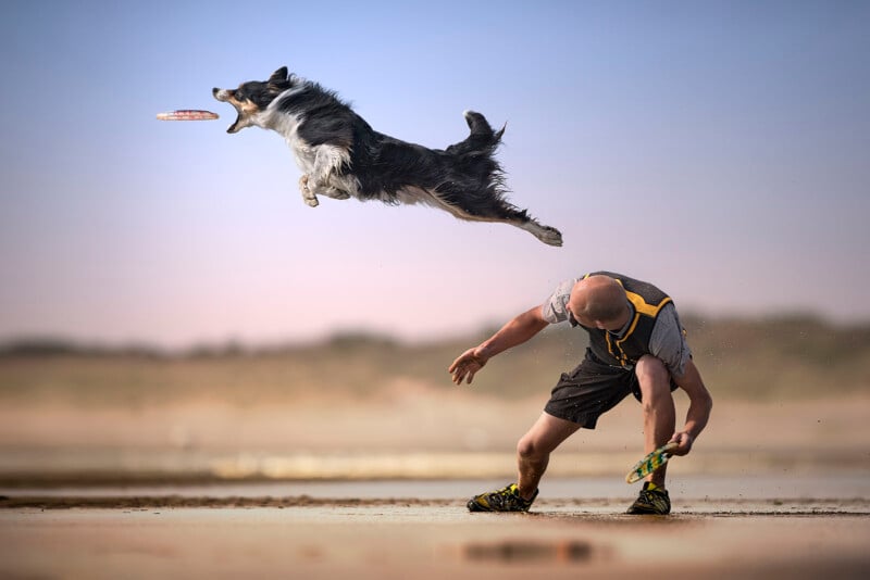 A man in athletic gear throws a frisbee as a black and white dog leaps high into the air to catch it on a sandy beach, with a blurred background.
