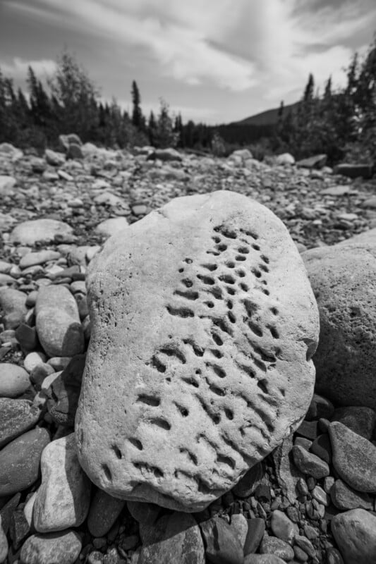 A large, pale rock with numerous small, deep holes sits among other stones on a rocky landscape, with trees and mountains in the background under a partly cloudy sky. The image is in black and white.
