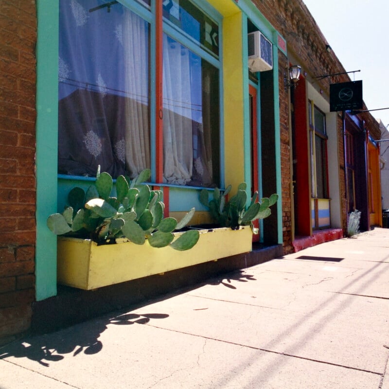 A sidewalk view of colorful storefronts with large windows, curtains, and a yellow planter box filled with prickly pear cacti in front of one window on a sunny day.