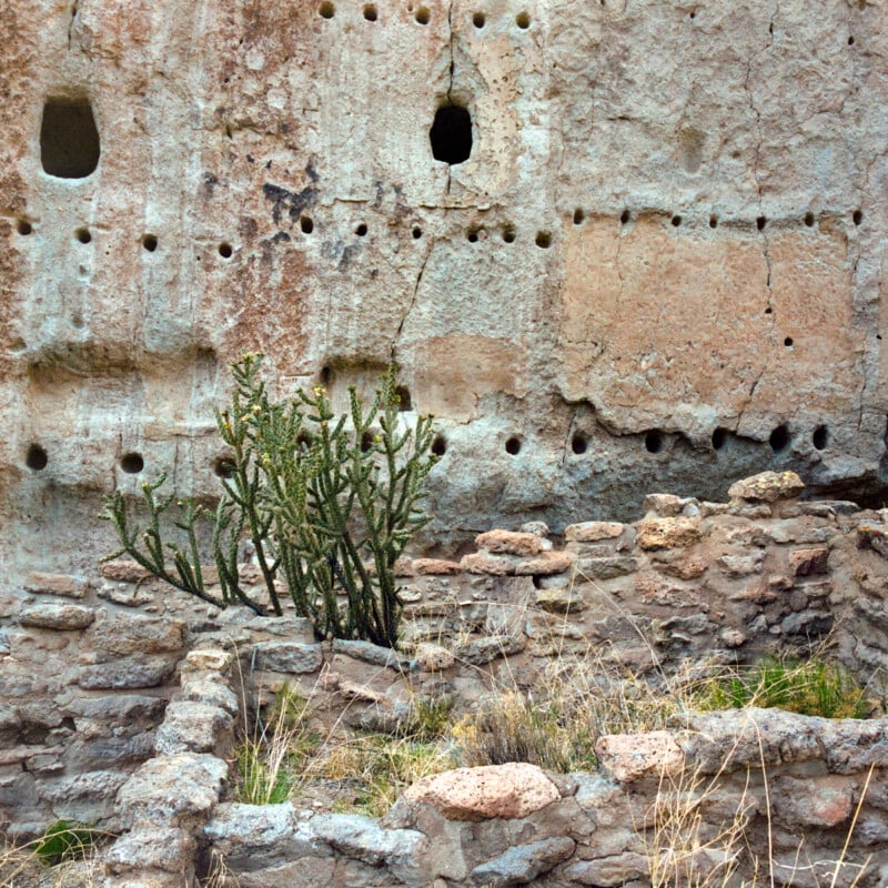 A cactus grows among stone ruins in front of a weathered cliff wall with multiple small, round holes and two larger rectangular openings. Grass and dry vegetation surround the ruins.