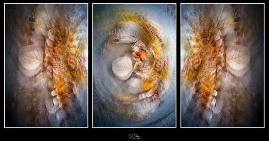 A digital triptych features abstract, layered forms with soft earthy colors, circular shapes, and translucent leaves, blending to create a dreamy, ethereal effect across three panels.