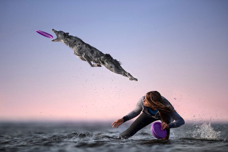 A dog leaps high through the air over water to catch a purple frisbee, while a woman kneels in the shallow water holding another frisbee. The sky is a soft gradient of pink and blue at sunset or sunrise.