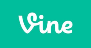 White Vine logo in a playful, cursive font centered on a solid teal background.