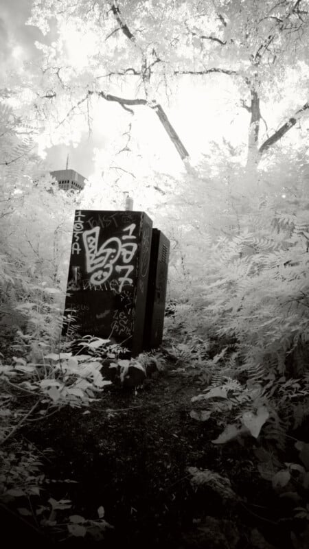 A black utility box covered in graffiti stands among dense, bright white foliage, with tall trees and a faint structure visible in the background under a glowing sky. The overall scene has a surreal, high-contrast appearance.