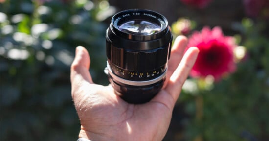 A hand holds a black camera lens outdoors with a blurred background of green foliage and a bright pink flower. Sunlight casts shadows on the hand and lens.