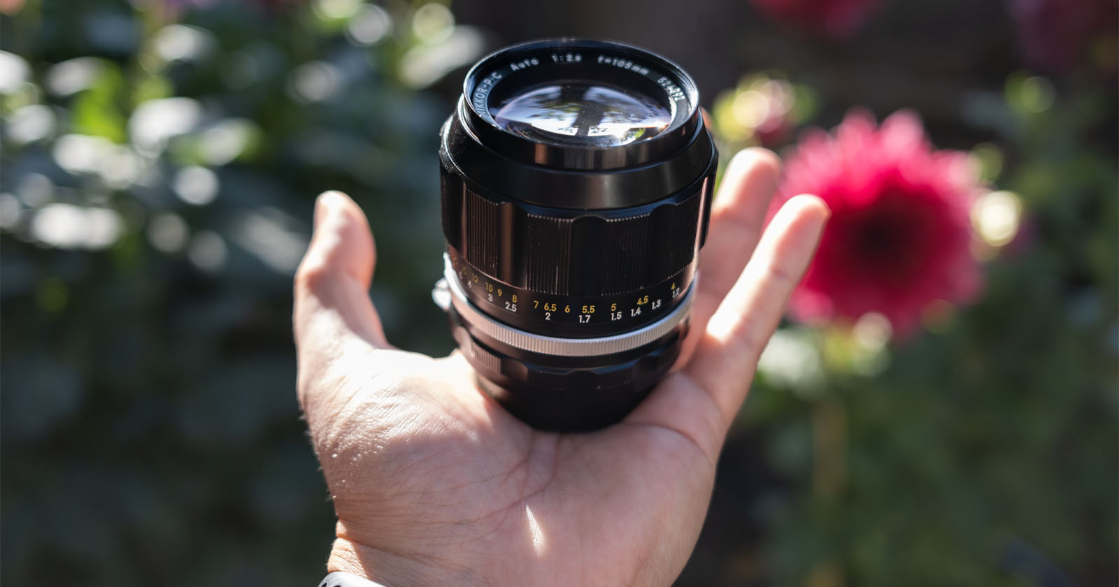 A hand holds a black camera lens outdoors with a blurred background of green foliage and a bright pink flower. Sunlight casts shadows on the hand and lens.